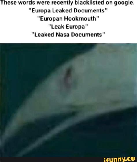 european hookmouth|Were NASA Documents Leaked About Life On Europa And。